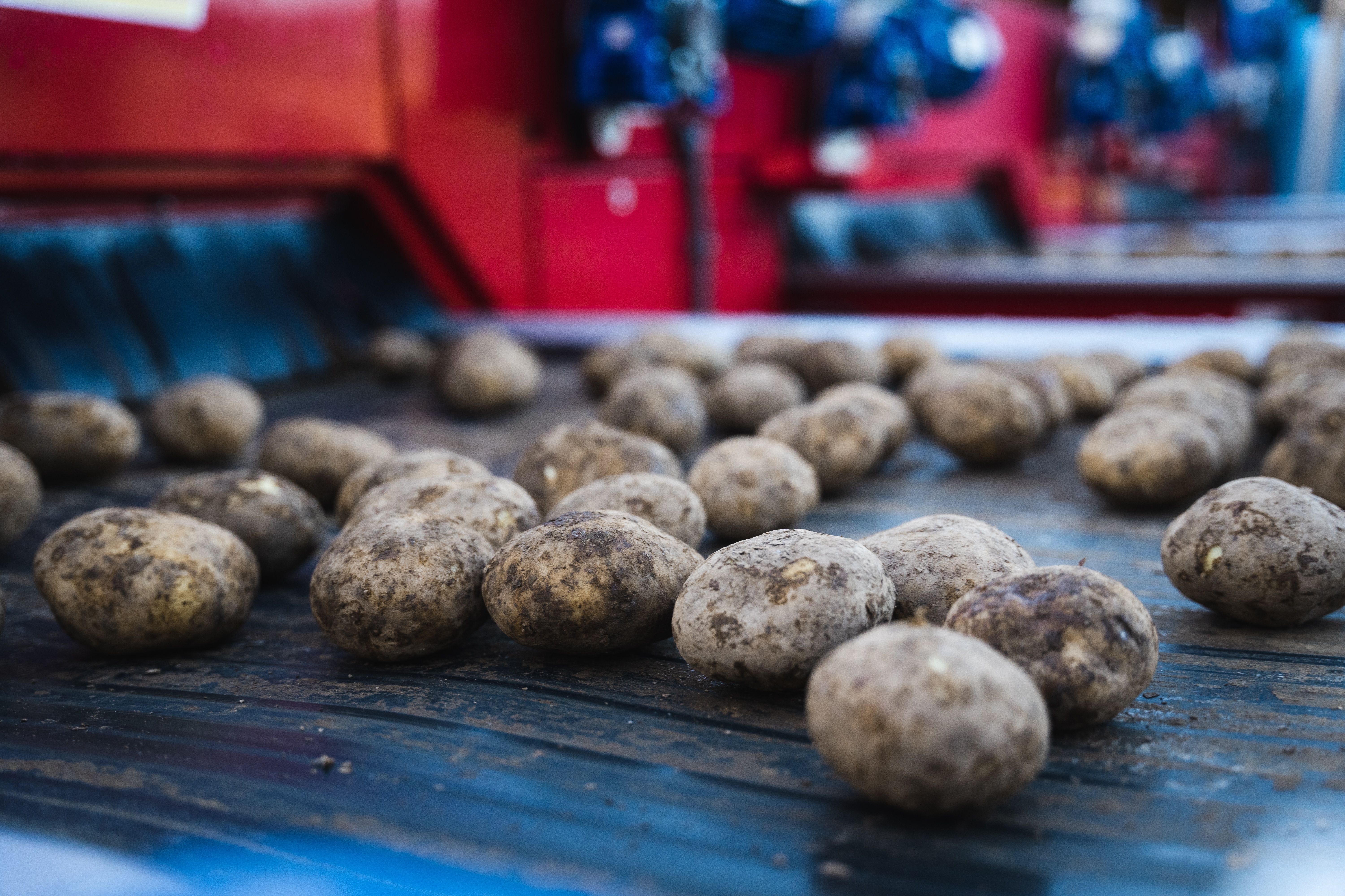 We Know Our Spuds… Do you?