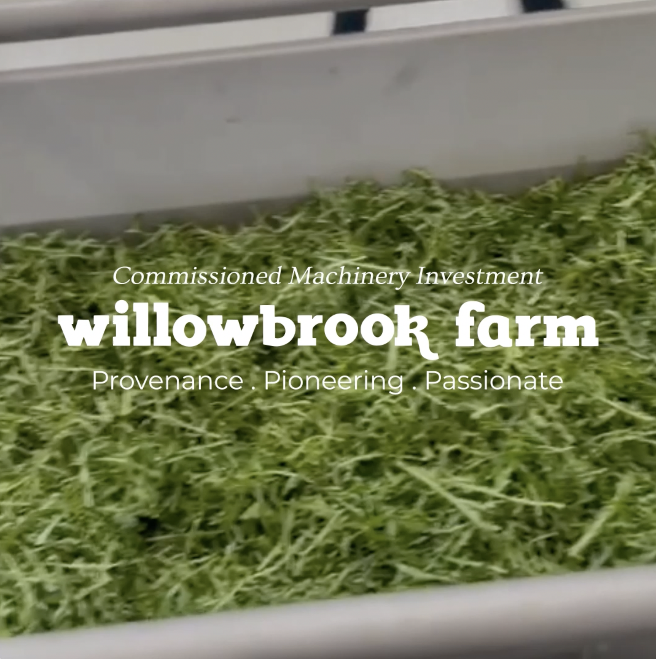'State of the Art' Machinery at Willowbrook Foods
