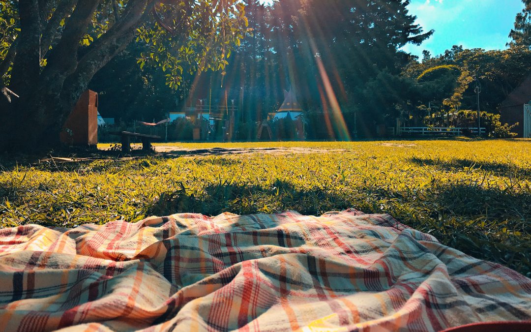 Guide to the Perfect Picnic in Northern Ireland