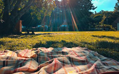 Guide to the Perfect Picnic in Northern Ireland