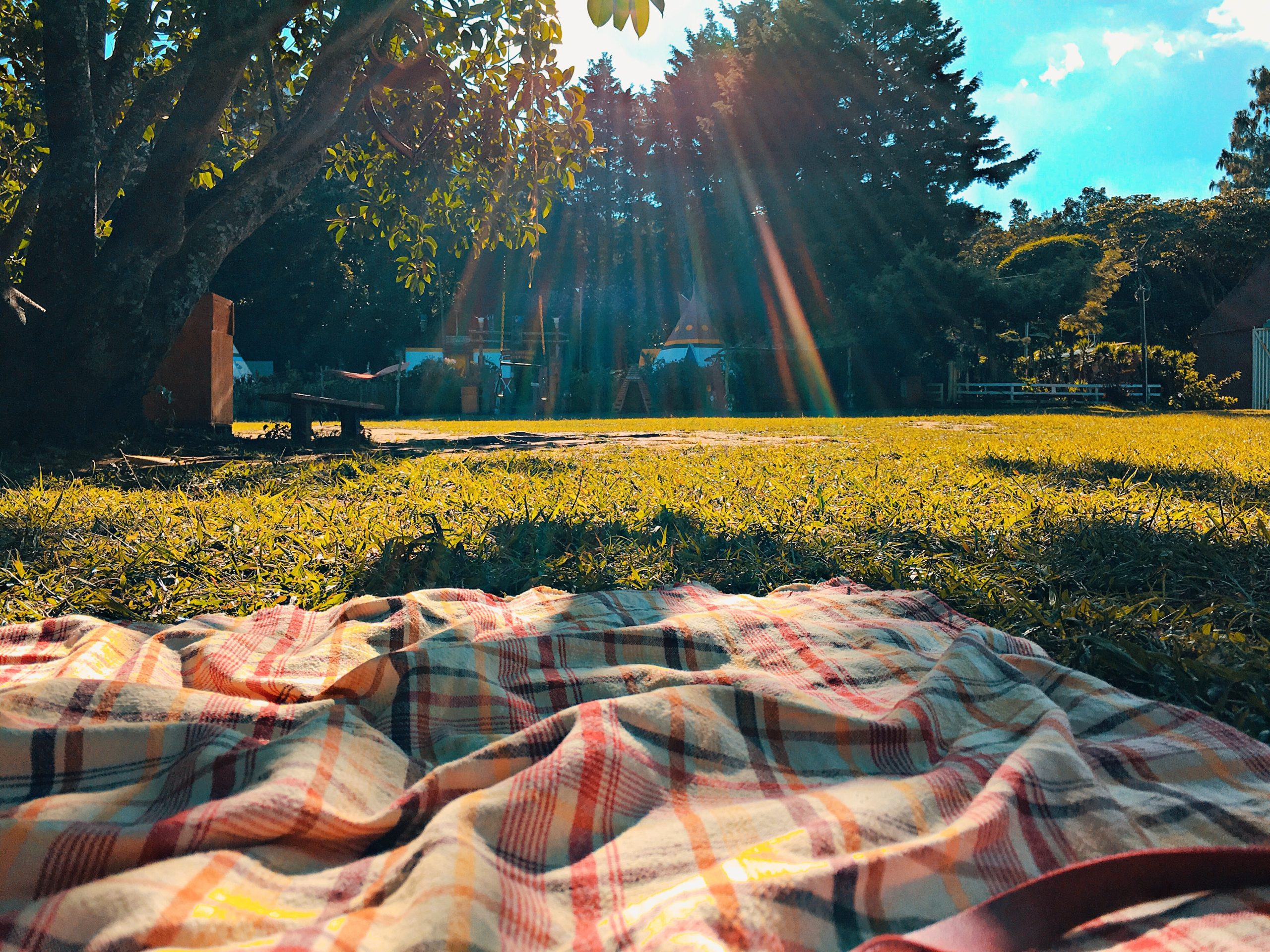 Guide to the Perfect Picnic in Northern Ireland