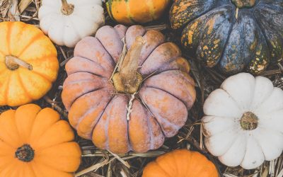 What to do with your pumpkin after Halloween?