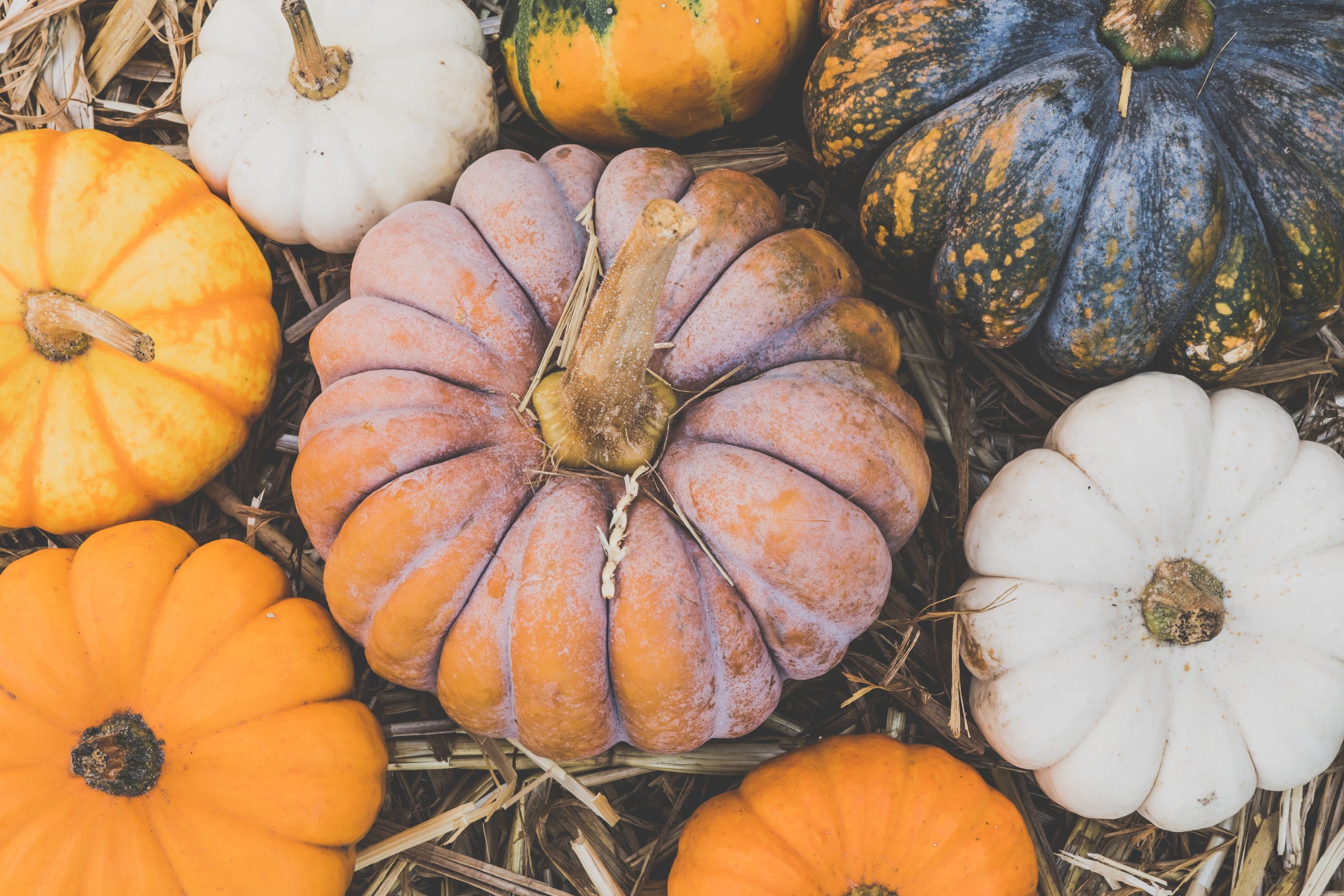 pumpkin