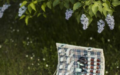 The Ultimate Guide to Picnic Essentials This Summer